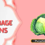 Cabbage Puns