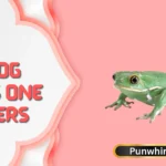 Frog Puns One Liners