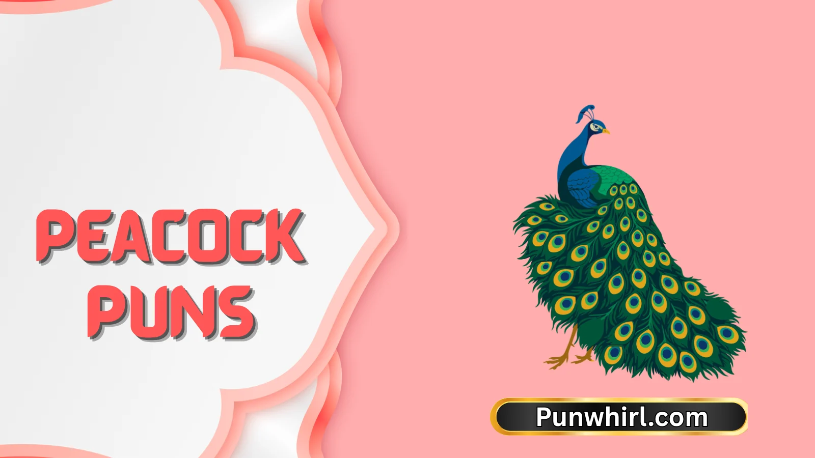 Peacock Puns