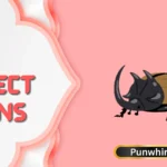 Insect Puns