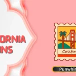 California Puns