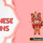Chinese Puns