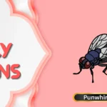 Fly Puns