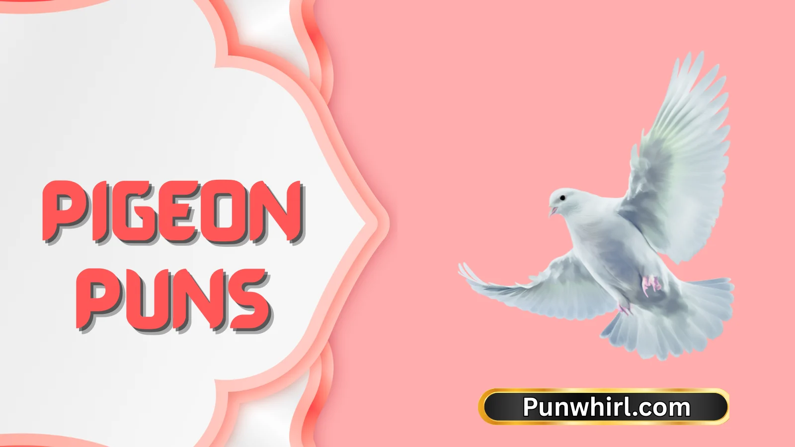 Pigeon Puns